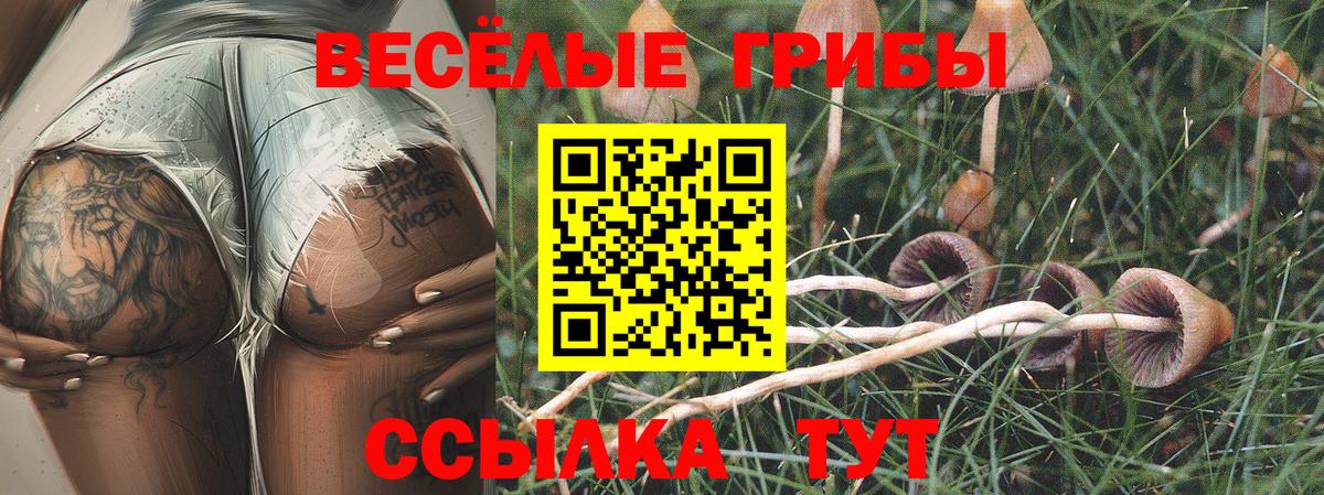 Галлюциногенные грибы ЛСД  Вход с VPN  Сатка 