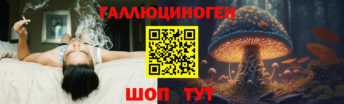 Галлюциногенные грибы GOLDEN TEACHER Сатка